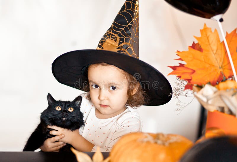 Per Halloween un gatto nero da adottare «Niente scherzetto, sì dolcetto:  una famiglia tutta per me»