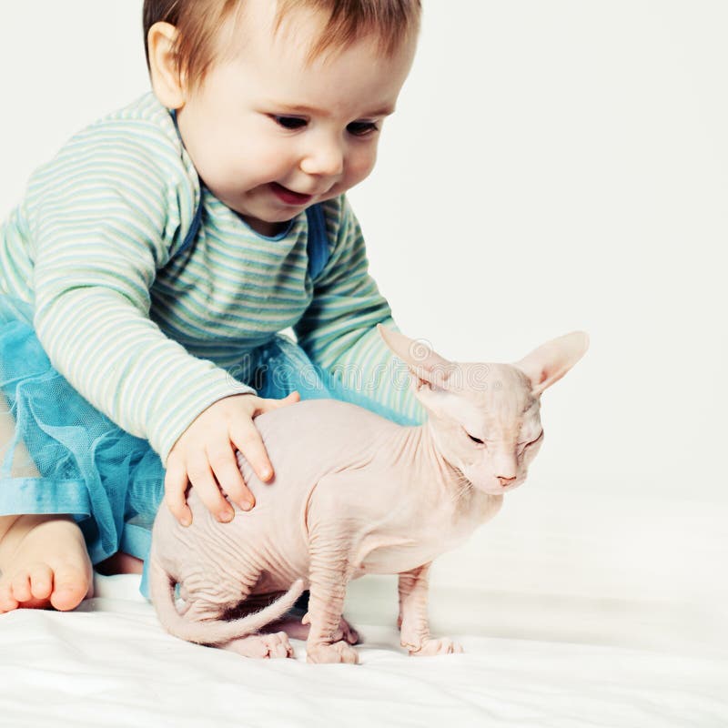 Bambina e gattino Bambino sveglio con il gatto immagini stock libere da diritti Bambina e gattino Bambino sveglio con il gatto immagini stock libere da diritti