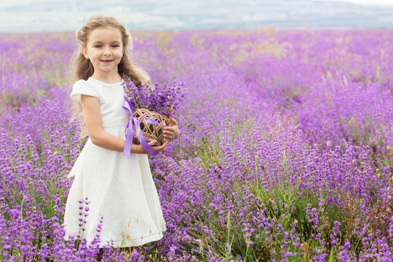 Bambina graziosa nel giacimento della lavanda con il canestro fotografie stock libere da diritti Bambina graziosa nel giacimento della lavanda con il canestro fotografie stock libere da diritti