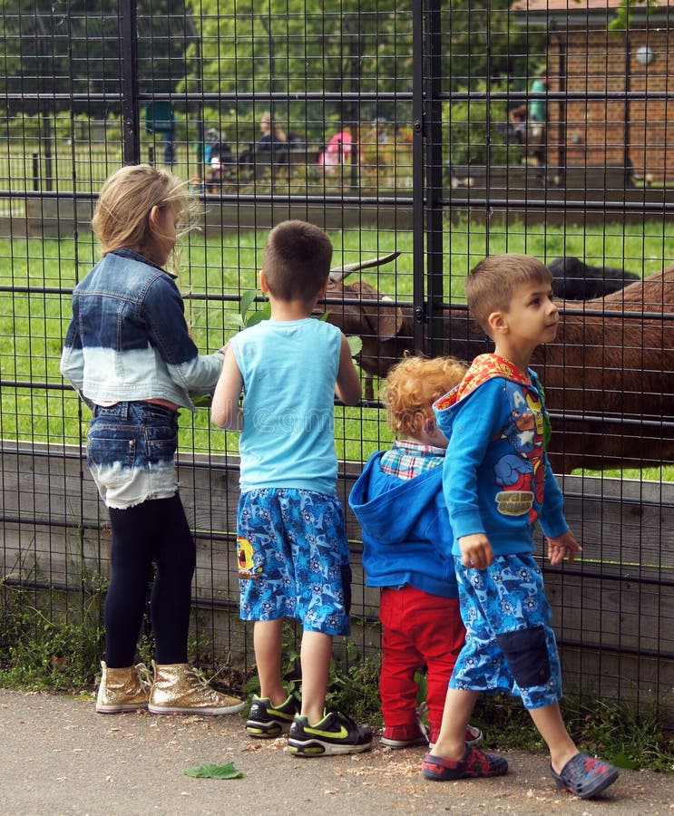 Children feed a goat through the fence in a local park. The study confirmed that children's wellbeing centers on outdoor activities. Children feed a goat through the fence in a local park. The study confirmed that children's wellbeing centers on outdoor activities.