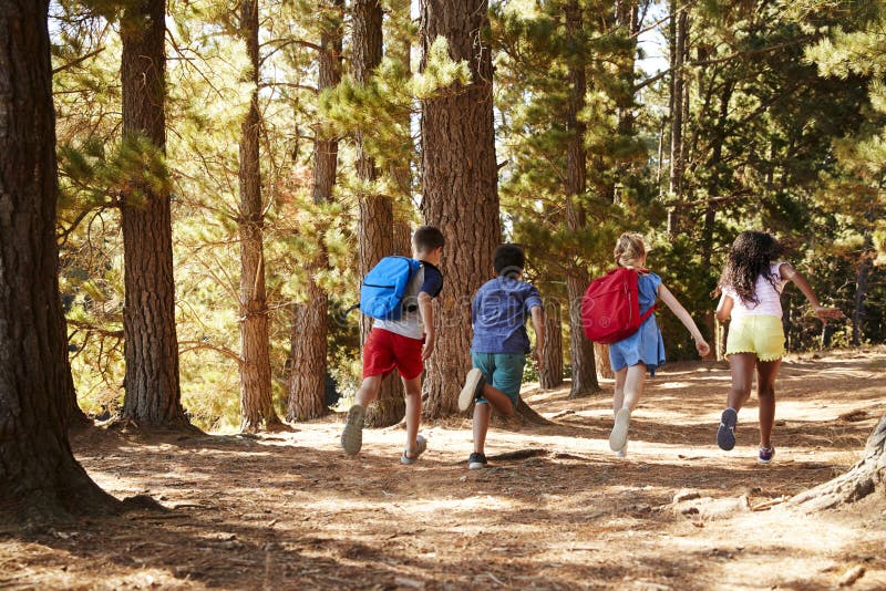 Bambini che corrono lungo Forest Trail On Hiking Adventure fotografie stock Bambini che corrono lungo Forest Trail On Hiking Adventure fotografie stock