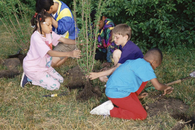 Bambini che piantano alberi fotografia stock libera da diritti