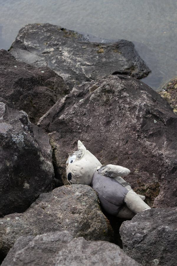 Bambini strappati e sporchi orsetti di peluche abbandonati sdraiati sulle rocce accanto all'acqua fotografia stock libera da diritti