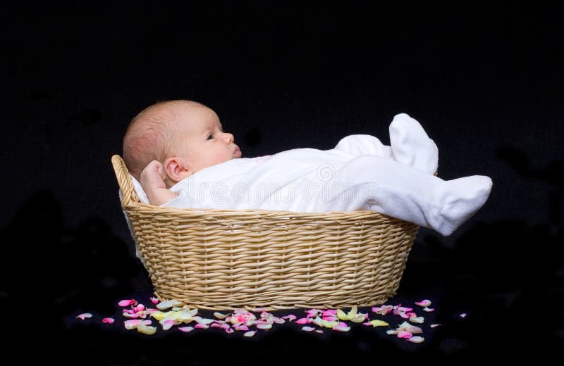 Bambino appena nato in un cestino con i petali del fiore immagine stock libera da diritti