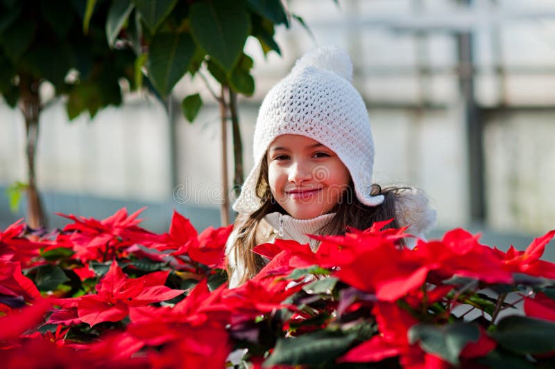 Little girl with white cap between poinsettias. Little girl with white cap between poinsettias