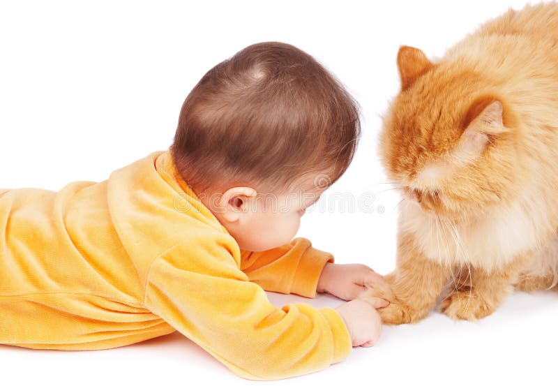 Bambino e gatto Bambino e gatto