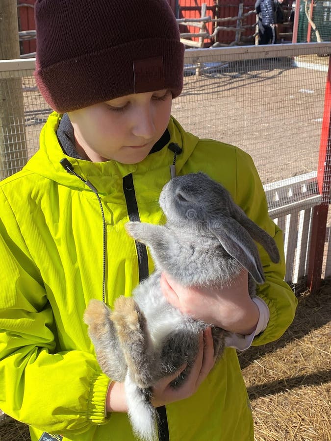 A teenage boy in a bright green jacket holds a small gray shaggy rabbit in his hands, focusing on the rabbit. Agriculture, animal care. sunny day. A teenage boy in a bright green jacket holds a small gray shaggy rabbit in his hands, focusing on the rabbit. Agriculture, animal care. sunny day