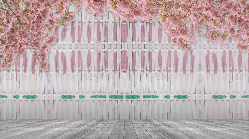 Bamboemuur met Roze trompetboom of Tabebuia-rosea op vloer houten achtergrond royalty-vrije stock afbeeldingen Bamboemuur met Roze trompetboom of Tabebuia-rosea op vloer houten achtergrond royalty-vrije stock afbeeldingen