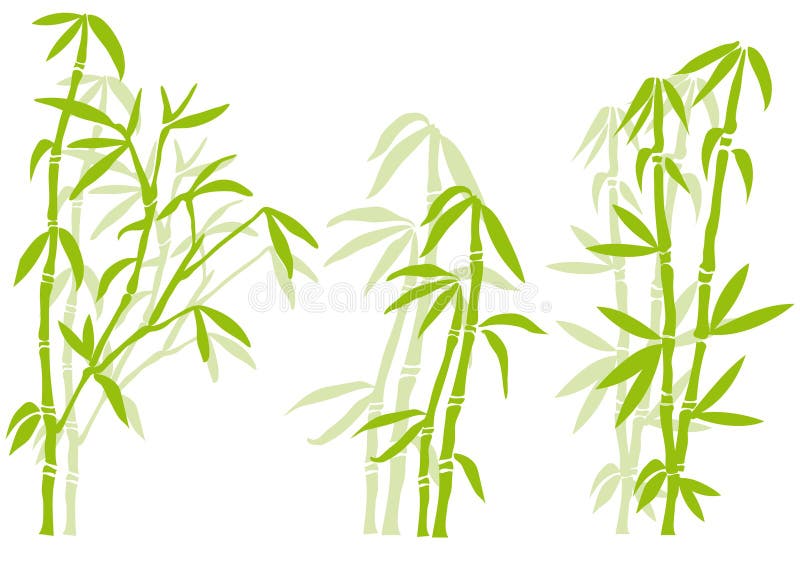 Realistic Bamboo Stick Brown And Green Tree Branch And Stems With Leaves  Isolated Decorative Closeup Elements East Forest Trees Exotic Botanical  Decor Eco Material Vector 3d Set Stock Illustration - Download Image