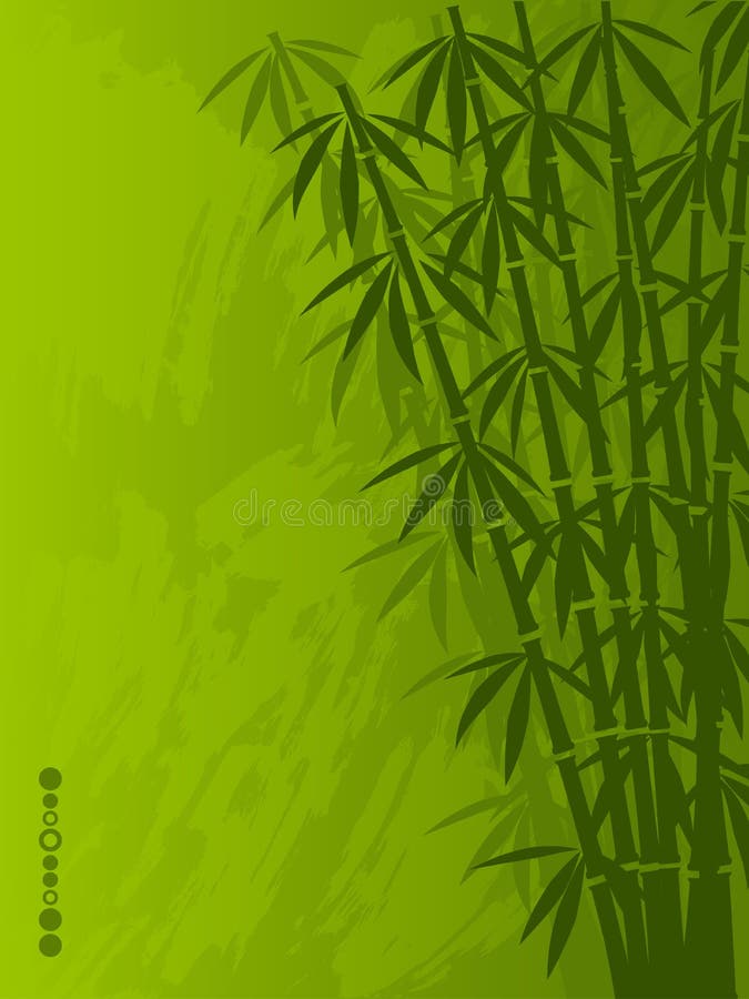 Bamboo