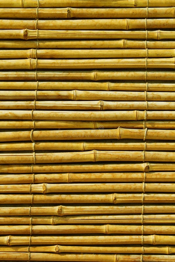 Bamboo abstract background