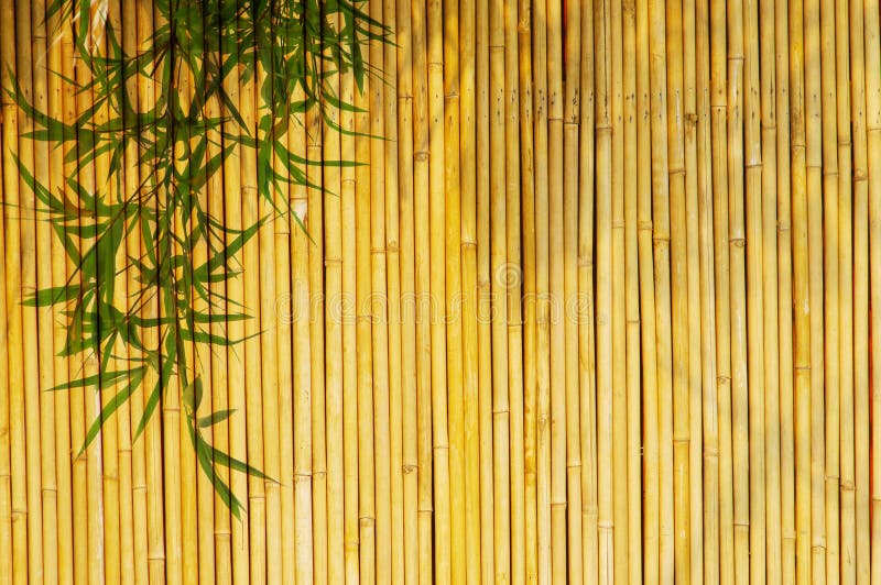 281,882 Bamboo Background Stock Photos - Free & Royalty-Free Stock Photos  from Dreamstime