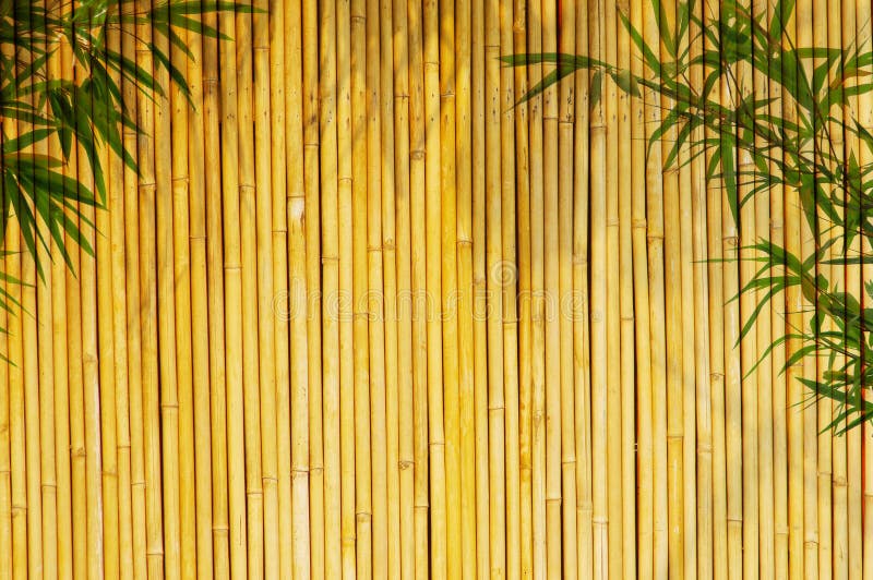 281,882 Bamboo Background Stock Photos - Free & Royalty-Free Stock Photos  from Dreamstime