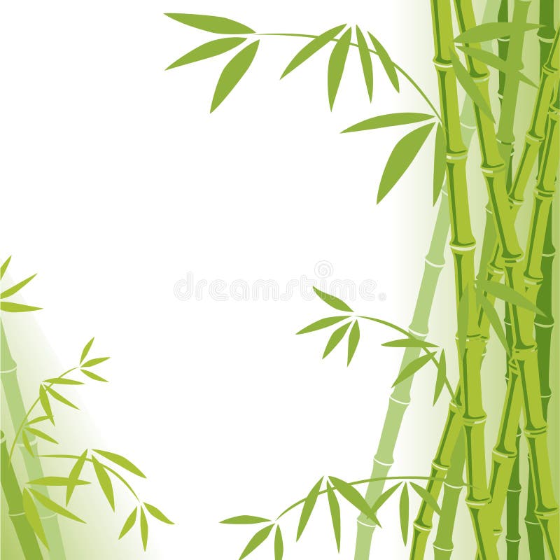 Bamboo background vector illustration