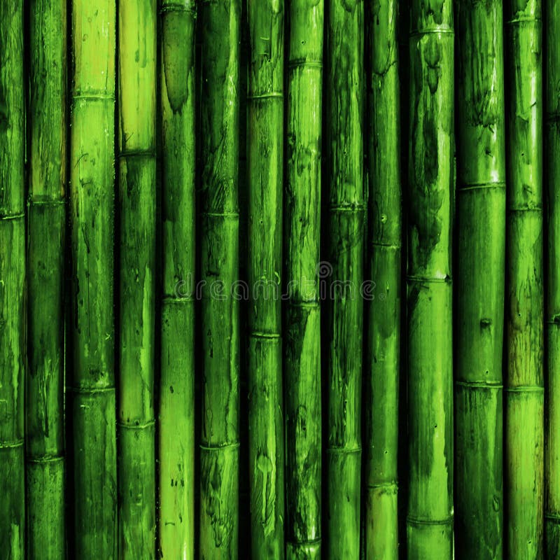Bamboo Bark stock photo. Image of panda, smooth, incredibly 57219718