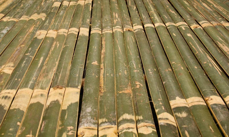 bamboo bed