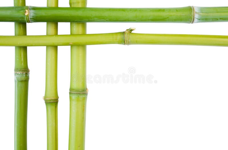 Bamboo borders royalty free stock photography Bamboo borders royalty free stock photography