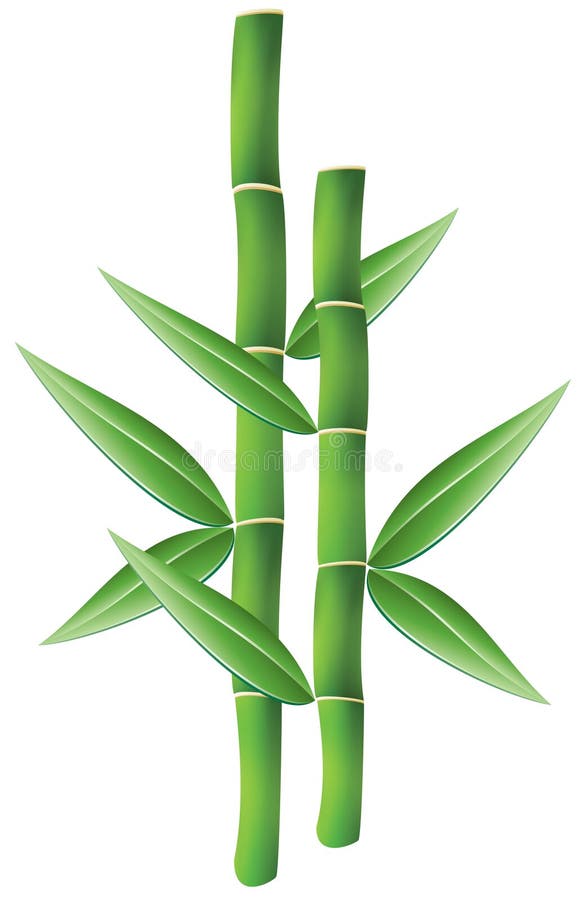 Realistic Bamboo Stick Brown And Green Tree Branch And Stems With