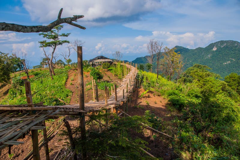 Bamboo bridge, Bamboo bridge from Thailand, Bamboo bridge from Thailand country