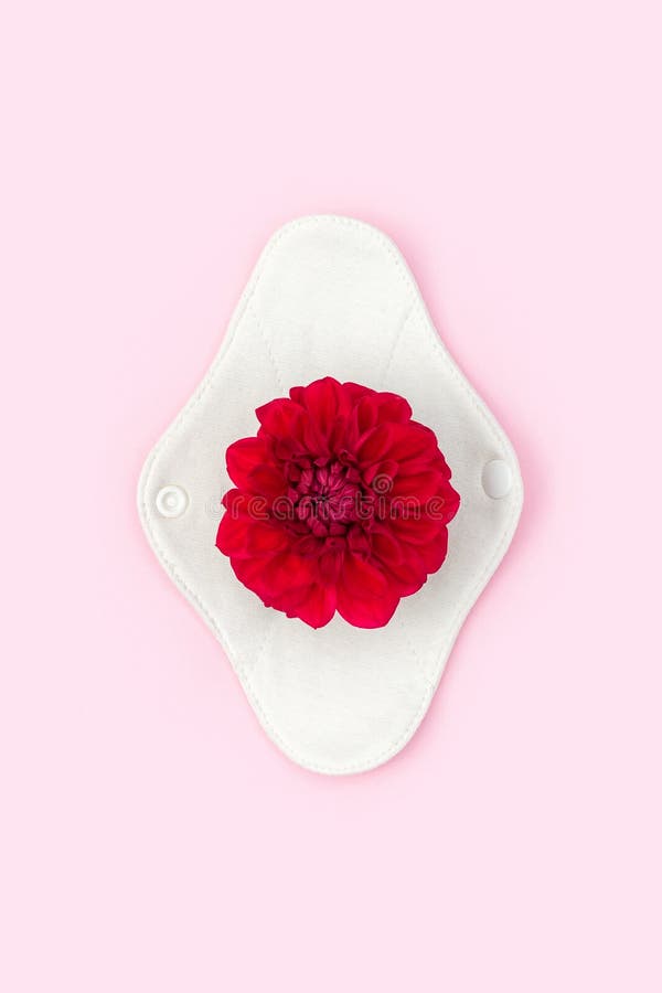 https://thumbs.dreamstime.com/b/bamboo-charcoal-washable-sanitary-napkin-reusable-menstrual-pad-red-flower-pink-background-health-care-bamboo-charcoal-254007678.jpg