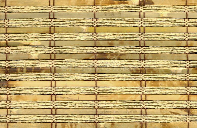 Bamboo close-up texture