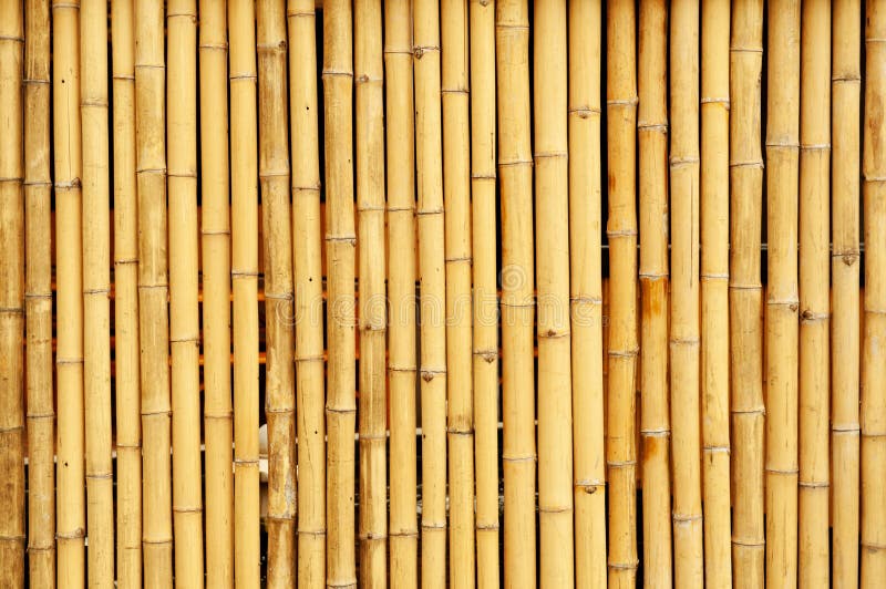 Bamboo fence