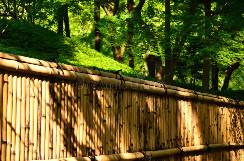 Bamboo Fence of Japanese Garden, Kyoto Japan. Stock Image - Image of ...