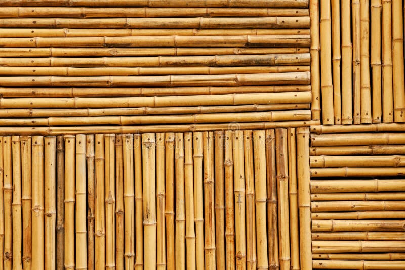 Bamboo fence texture