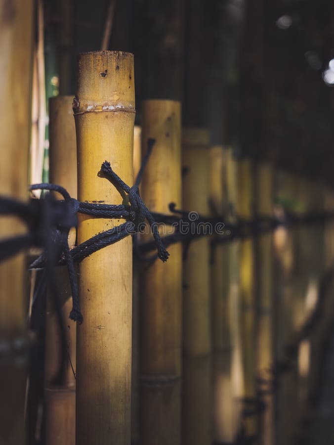 Closeup Image Of Bamboo Fence Tied With Ropes Stock Photo