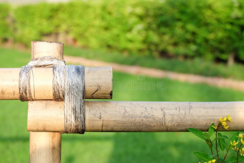 Bamboo Fence Tied with Rope on Green Grass. Stock Photo - Image of