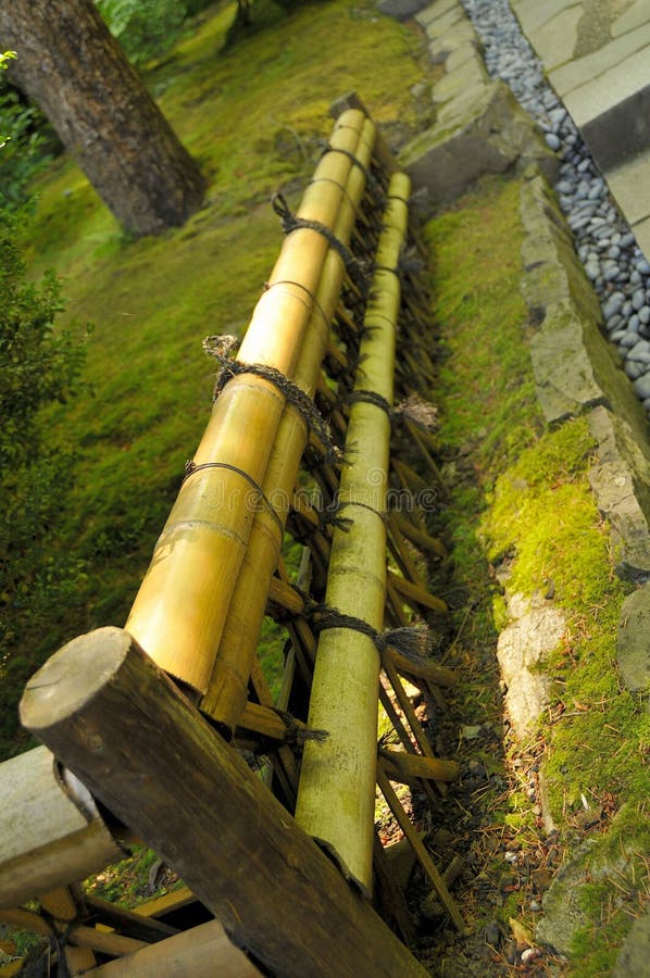 Bamboo Fencing in Garden