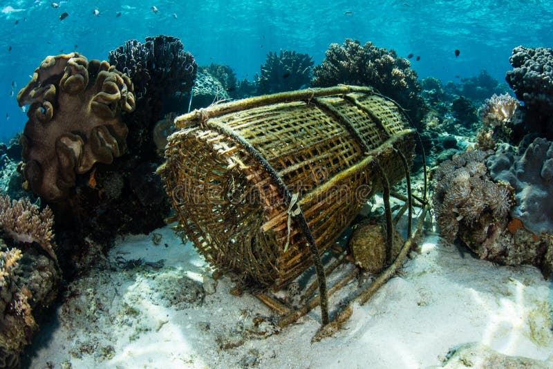 Traditional Fish Trap in Indonesia Stock Image - Image of corals