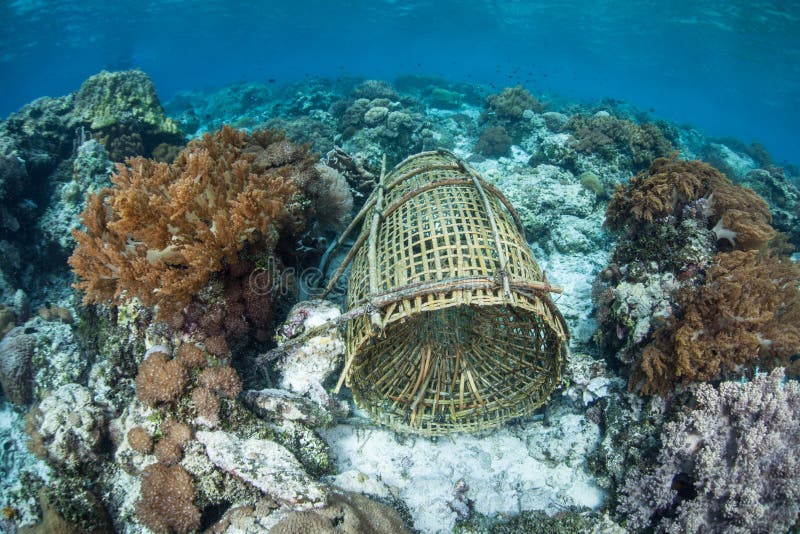 Underwater Bamboo