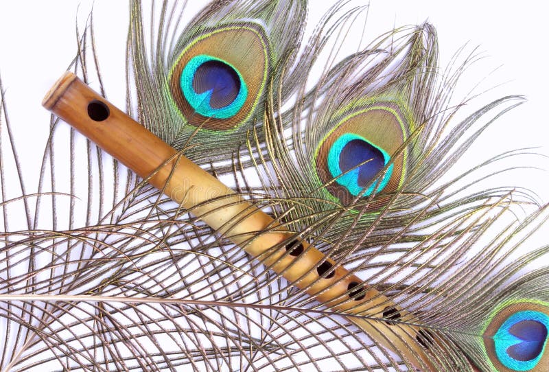 Bamboo Flute, Peacock Feather Stock Image - Image of object, folk: 19183425 Bamboo Flute, Peacock Feather Stock Image - Image of object, folk: 19183425