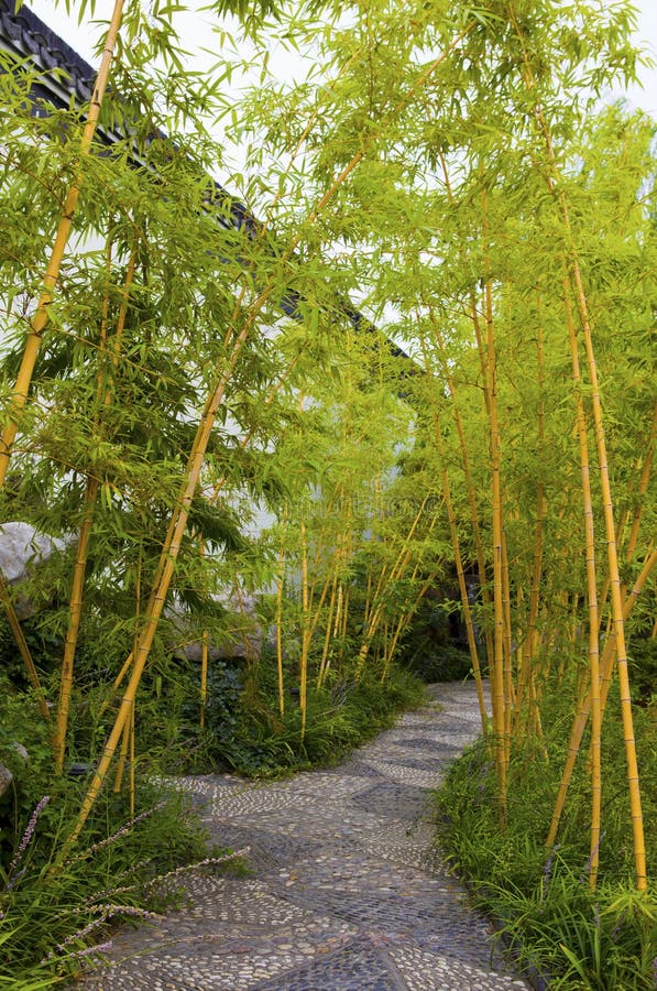 Garden path stock image. Image of background, floor, lawn 16024983