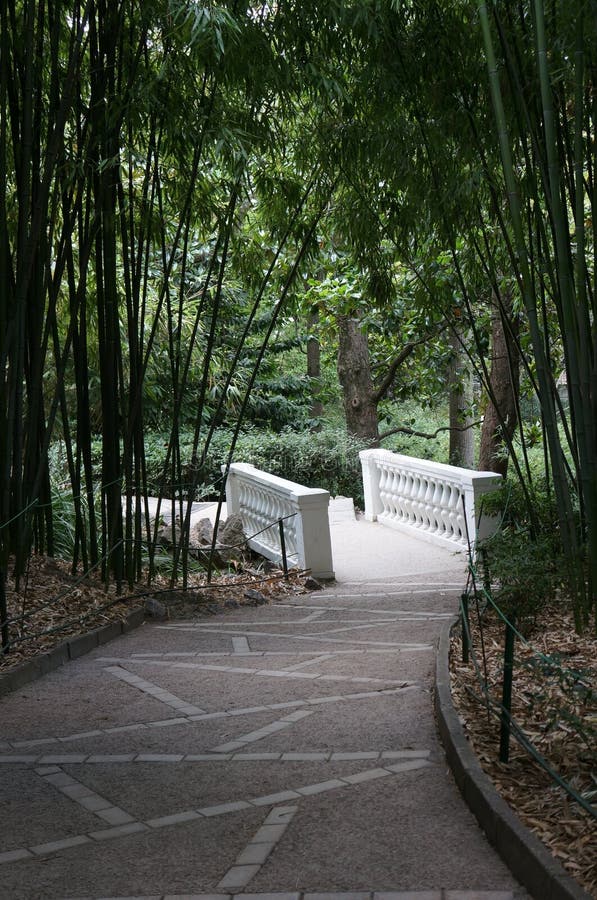The Bamboo Grove and Path in the Garden Stock Image Image of botanical, nikitsky 79745519