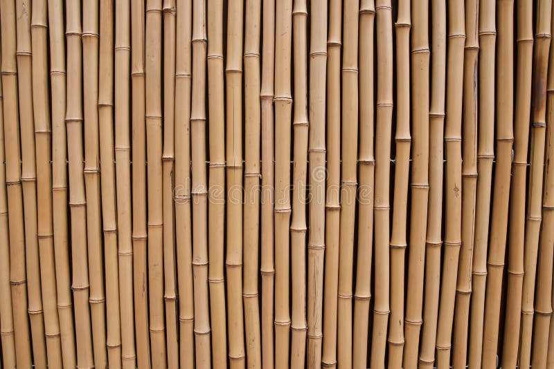 147 Bamboo High Resolution Natural Wood Texture Photos Free Royalty Free Stock Photos From Dreamstime
