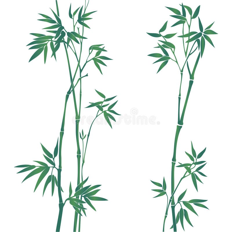 Ilustraciones de bambú.