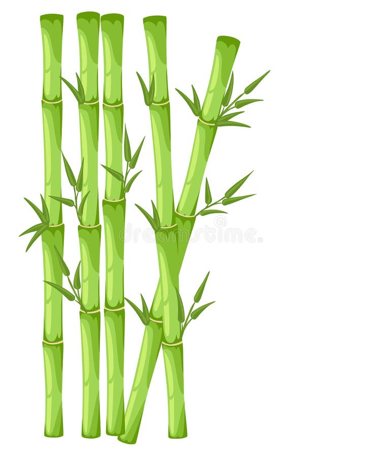 Bamboo with Leaf Illustration. Asian Bambu Zen Plants Background Stock