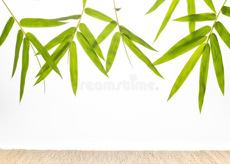 Bamboo Leaf