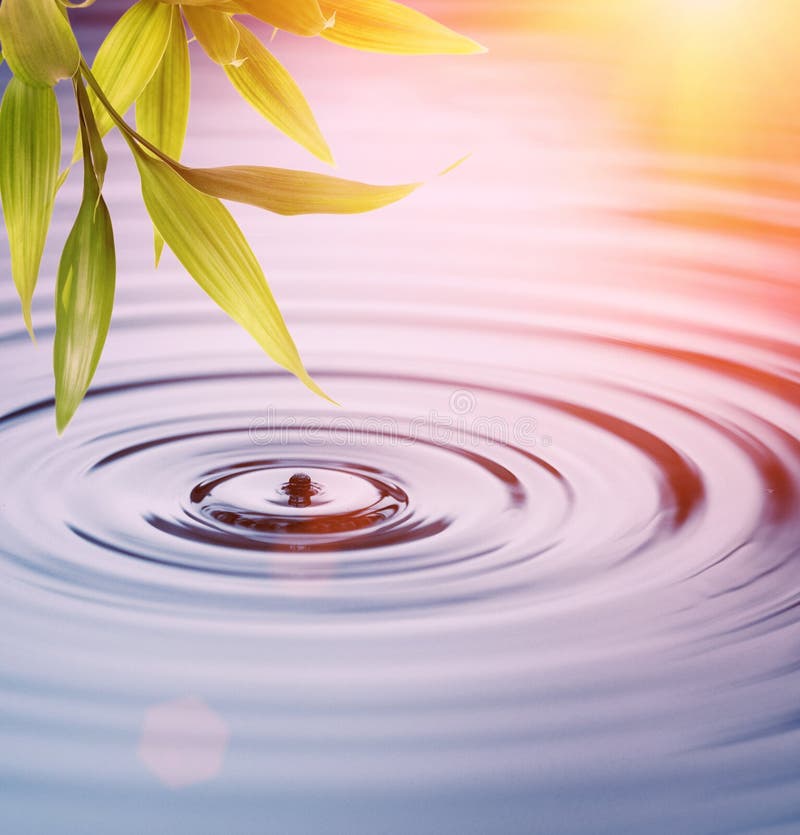 Bamboo leaves over water