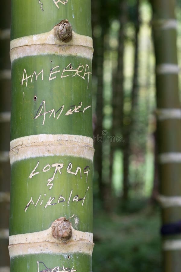 177 Carve Bamboo Photos Free & RoyaltyFree Stock Photos from Dreamstime