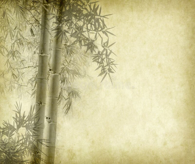 bamboo in paper bamboo in paper