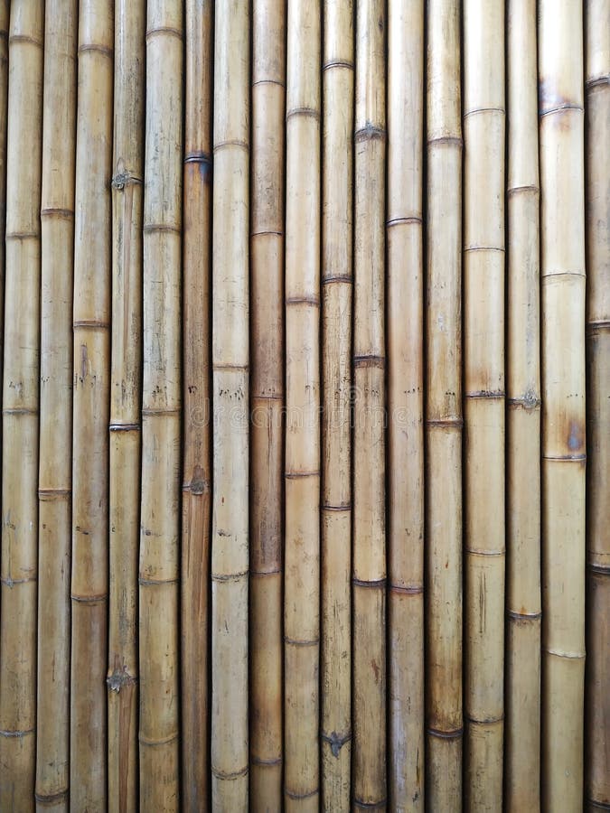 Bamboo Poles Lined Up Side by Side Stock Image Image of wall, stakes