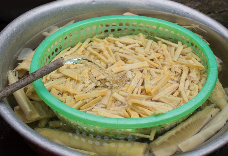 Bamboo shoot stock photo. Image of shoot, healthy, asian 91112020