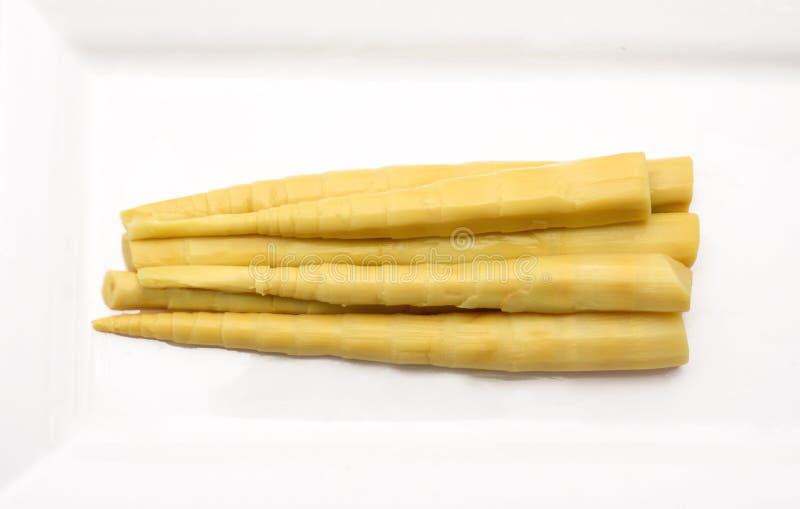 Bamboo shoot on white background.