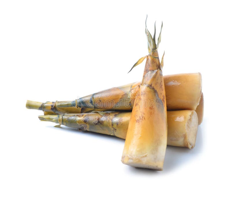 Bamboo Shoot Isolated on White Background Stock Photo Image of vegan