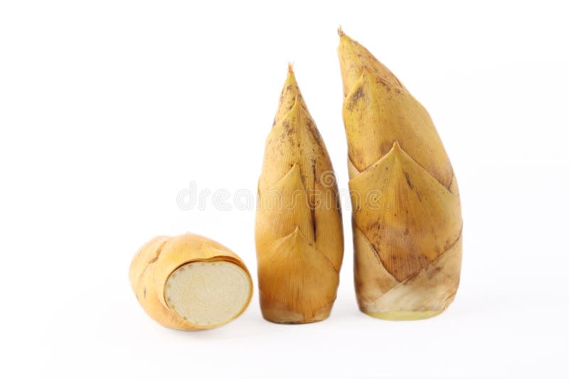 Bamboo shoots