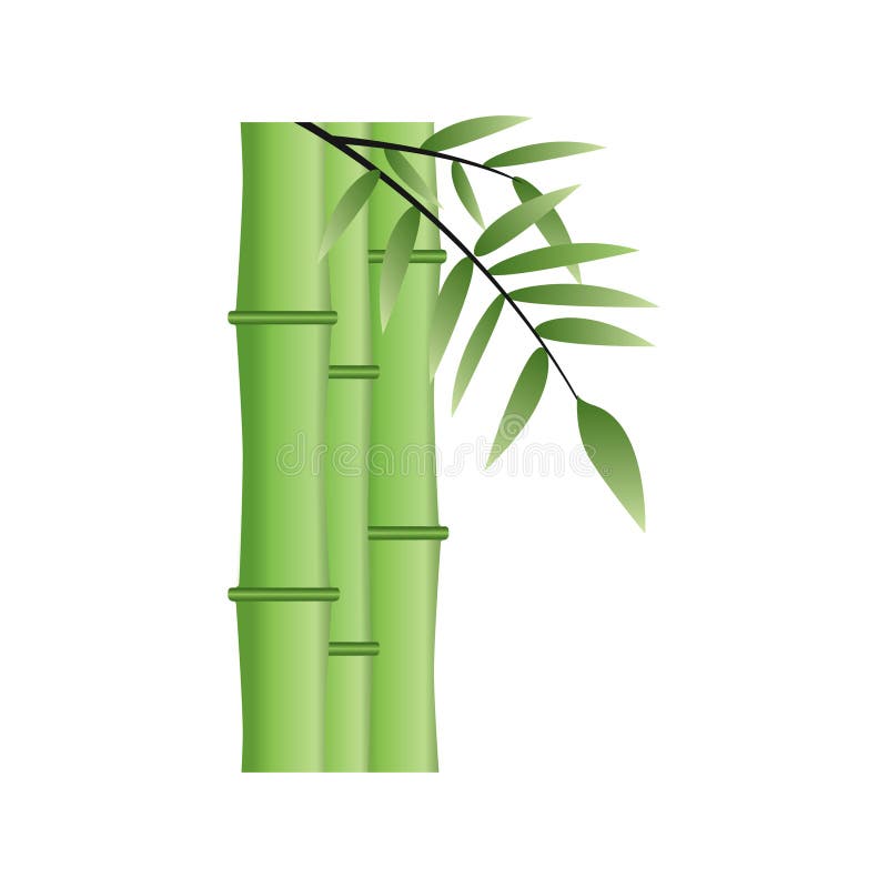 Bamboo Shoots. Vector Illustration Decorative Design Stock Vector Illustration of bamboo