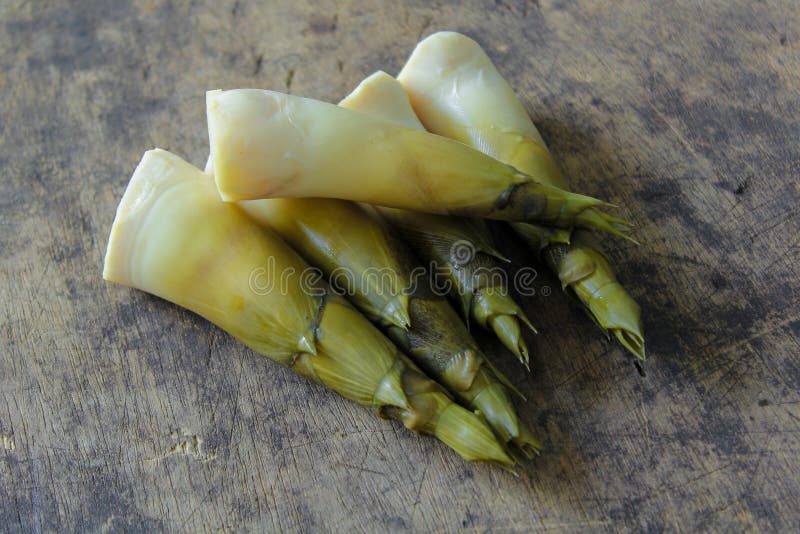 Bamboo shoots stock image. Image of vegan, source, root 76653513